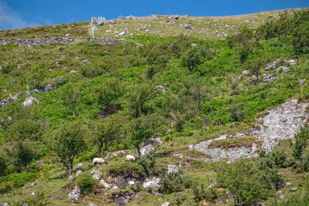 Claggan  Cottage 390 - Maam מראה חיצוני תמונה